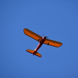 North Cliffs 02.06.2020